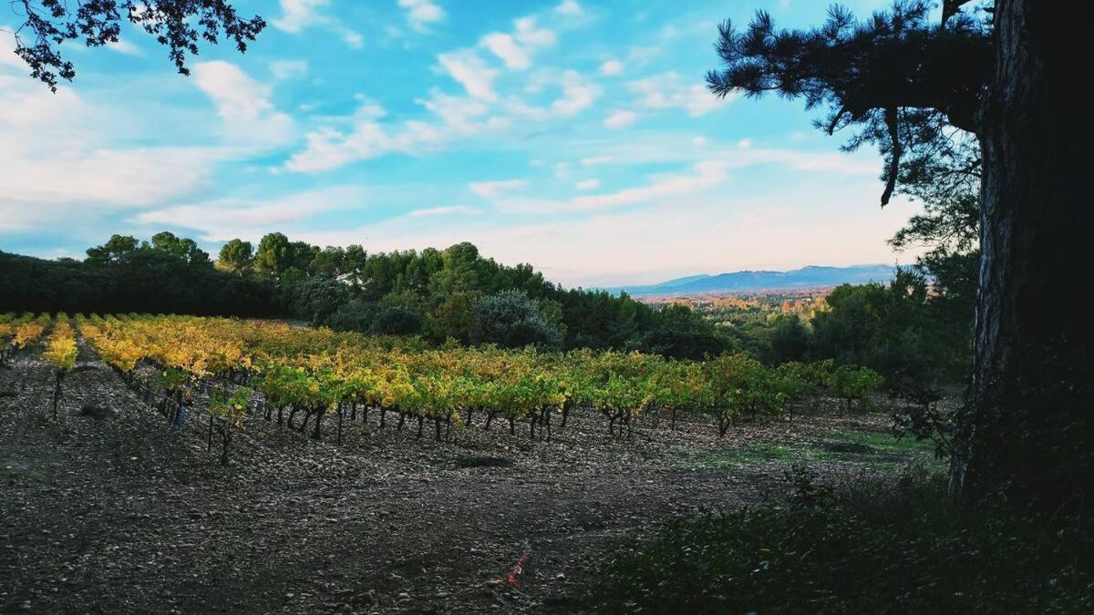 L'Appartement De L'Arche Châteauneuf-de-Gadagne Esterno foto