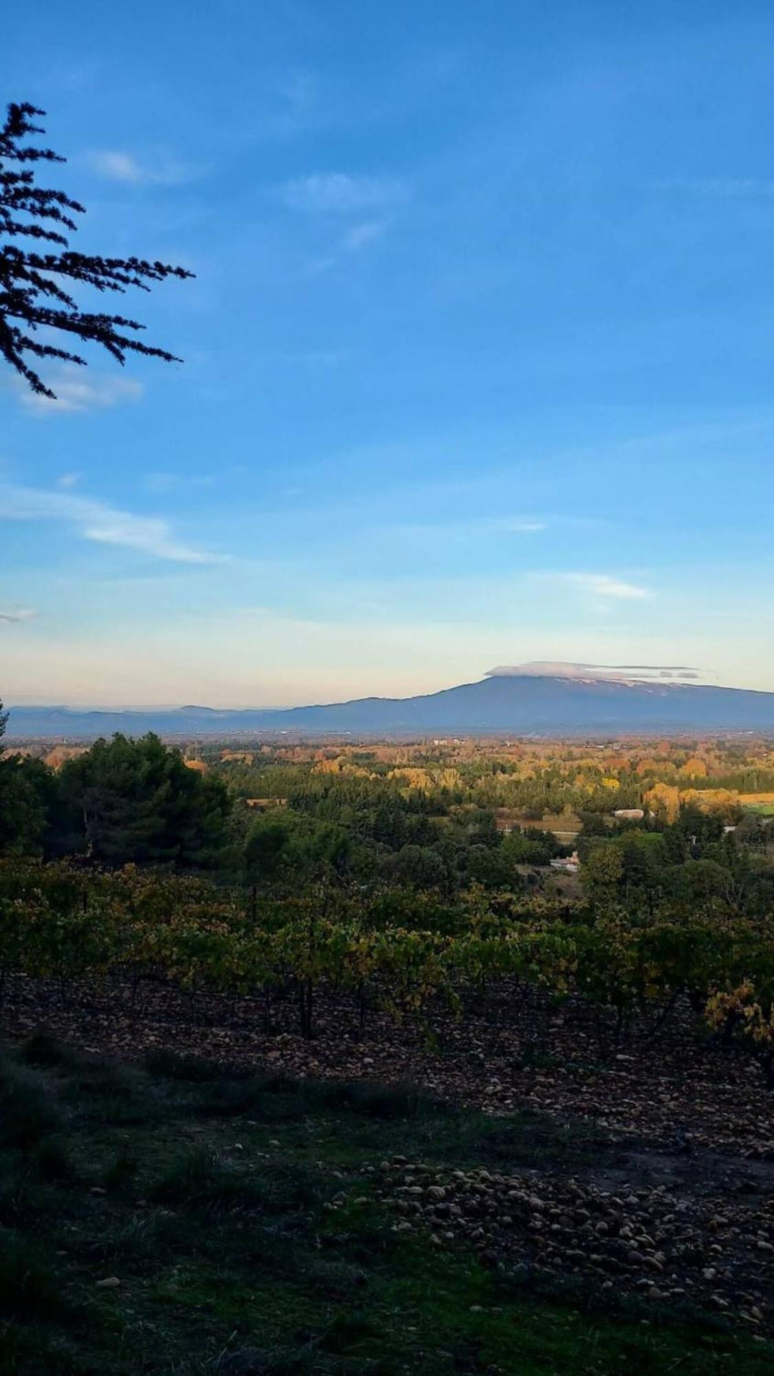 L'Appartement De L'Arche Châteauneuf-de-Gadagne Esterno foto